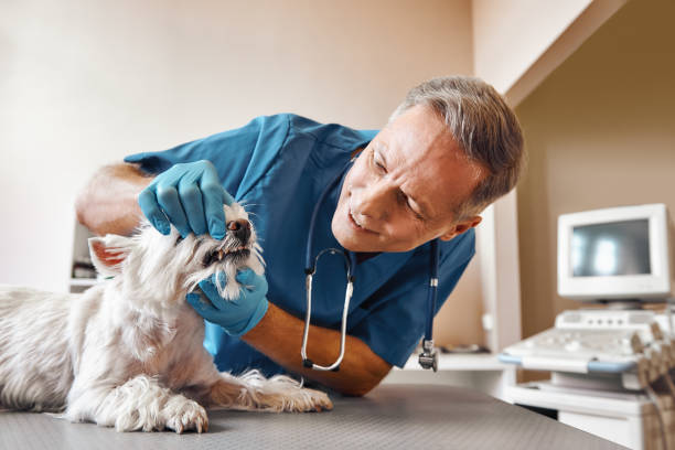 Best Emergency Wisdom Tooth Extraction in Hoopa, CA